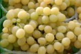 /album/tradizioni-gastronomiche-ginosine-/a294492-360232160717798-1379311792-n-jpg/