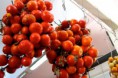 /album/tradizioni-gastronomiche-ginosine-/a330040-234966046577744-1619867353-o-jpg/
