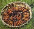 /album/tradizioni-gastronomiche-ginosine-/a331012-234789649928717-1643638316-o-jpg/