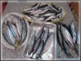 /album/tradizioni-gastronomiche-ginosine-/a539951-361904197217261-1928031324-n-jpg/